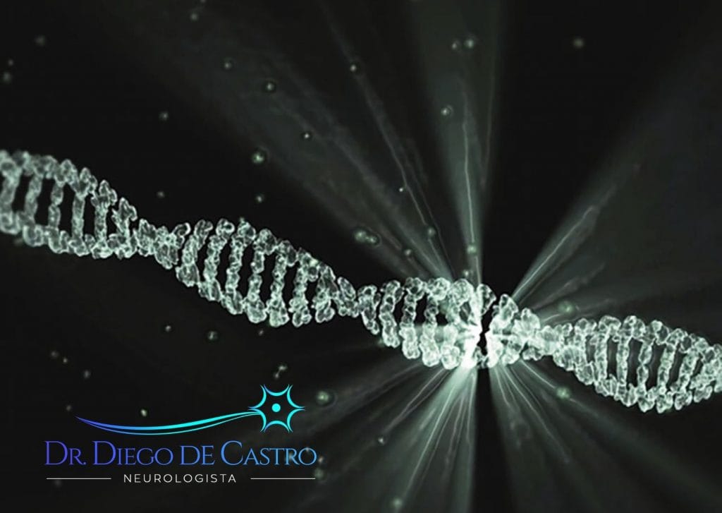 Paraparesia Espástica Hereditária