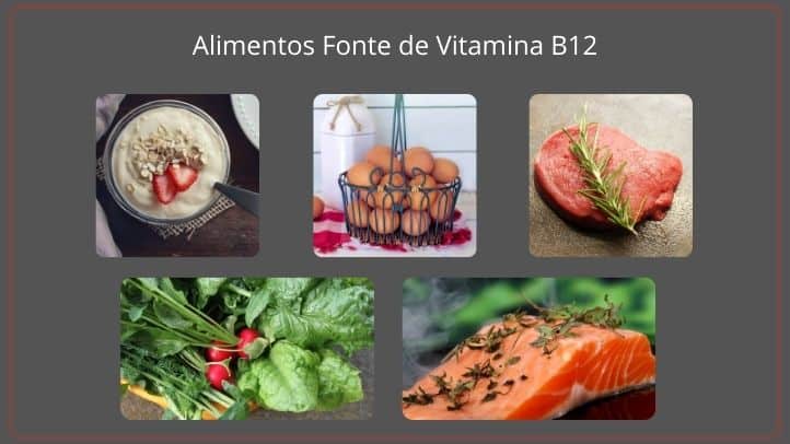Alimentos Fonte de Vitamina B12
