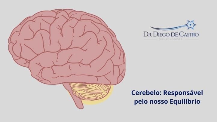 Representação do Cerebelo - Especialista em Ataxia
