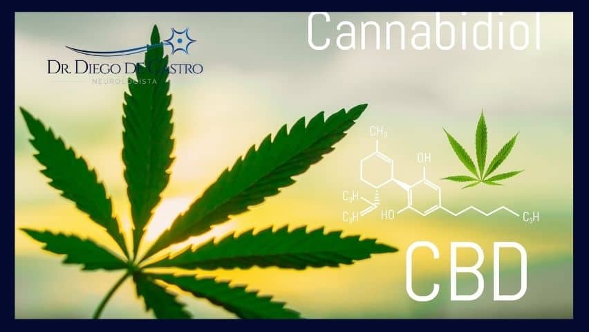 Interações do Sistema Endocanabinoide