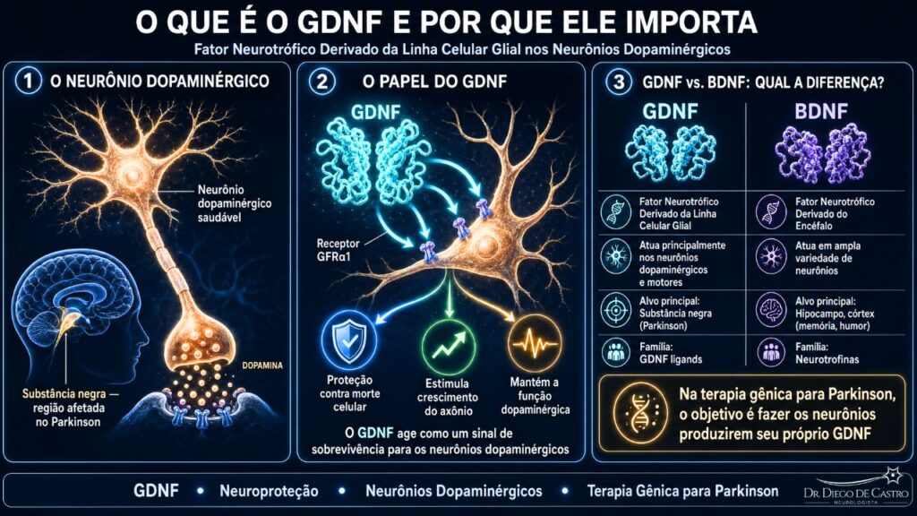 GDNF GDNF