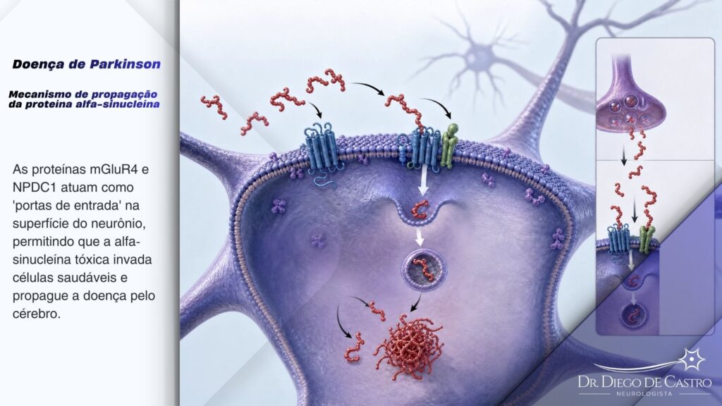 propagação da proteína alfa-sinucleína propagação da proteína alfa-sinucleína