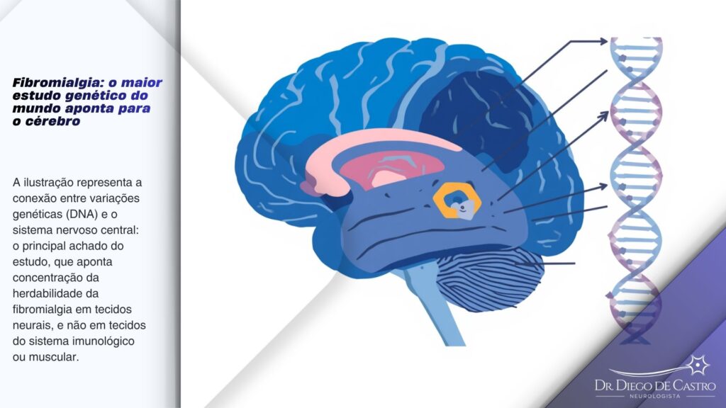 Infográfico mostrando um cérebro humano em corte com regiões destacadas em azul associadas ao processamento da dor, conectado a uma fita de DNA estilizada, ilustrando o achado genético do estudo sobre fibromialgia. Infográfico mostrando um cérebro humano em corte com regiões destacadas em azul associadas ao processamento da dor, conectado a uma fita de DNA estilizada, ilustrando o achado genético do estudo sobre fibromialgia.