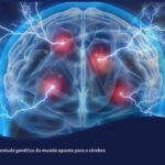 Ilustração estilizada de uma dupla hélice de DNA entrelaçada a uma silhueta do cérebro e da coluna vertebral humana, em tons de azul e violeta, representando a base genética e neurológica da fibromialgia.