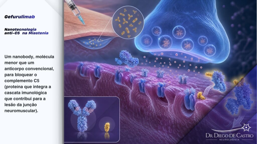 gefurulimab Diagrama microscópico detalhado da junção neuromuscular mostrando o gefurulimab, um nanobody menor que anticorpos comuns, bloqueando o sistema complemento e protegendo os receptores musculares, com indicação de aplicação subcutânea.