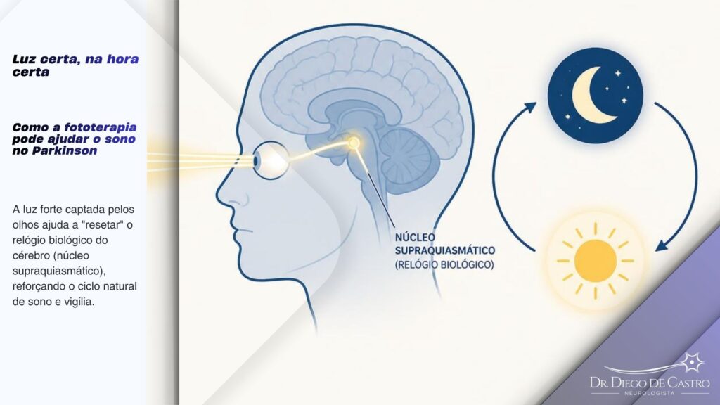 Infográfico mostrando como a luz captada pelos olhos influencia o relógio biológico do cérebro no ciclo sono-vigília