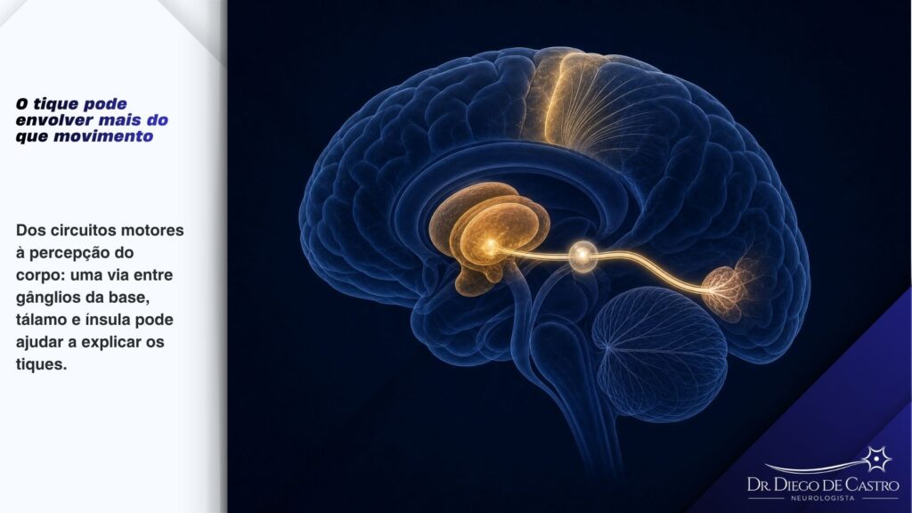 Via tálamo-insular relacionada aos tiques na síndrome de Tourette | Dr. Diego de Castro Ilustração anatômica do circuito neural que conecta os gânglios da base ao córtex insular por meio dos núcleos talâmicos intralaminares.