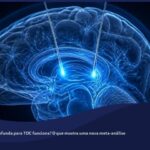 Ilustração conceitual de um cérebro humano em corte com eletrodos de estimulação cerebral profunda implantados, emitindo um brilho azul ao longo de circuitos neurais internos.