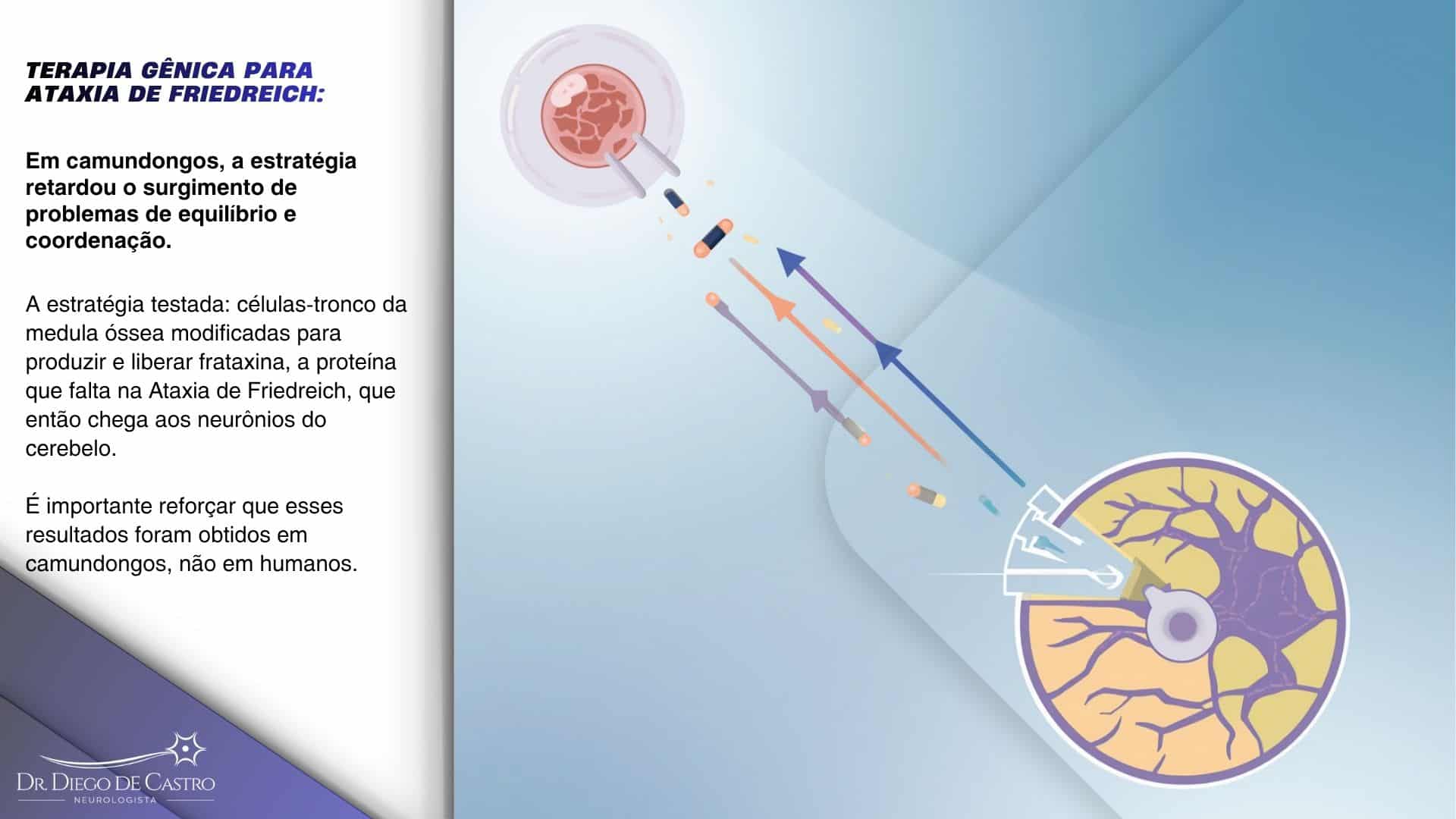 Ilustração esquemática de uma célula-tronco entregando frataxina a um neurônio do cerebelo. Ilustração esquemática de uma célula-tronco entregando frataxina a um neurônio do cerebelo.