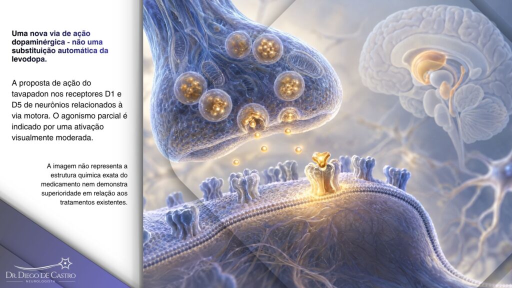 Ilustração conceitual de uma sinapse dopaminérgica, com um ligante ativando de forma parcial e seletiva um receptor D1/D5 na membrana de um neurônio.