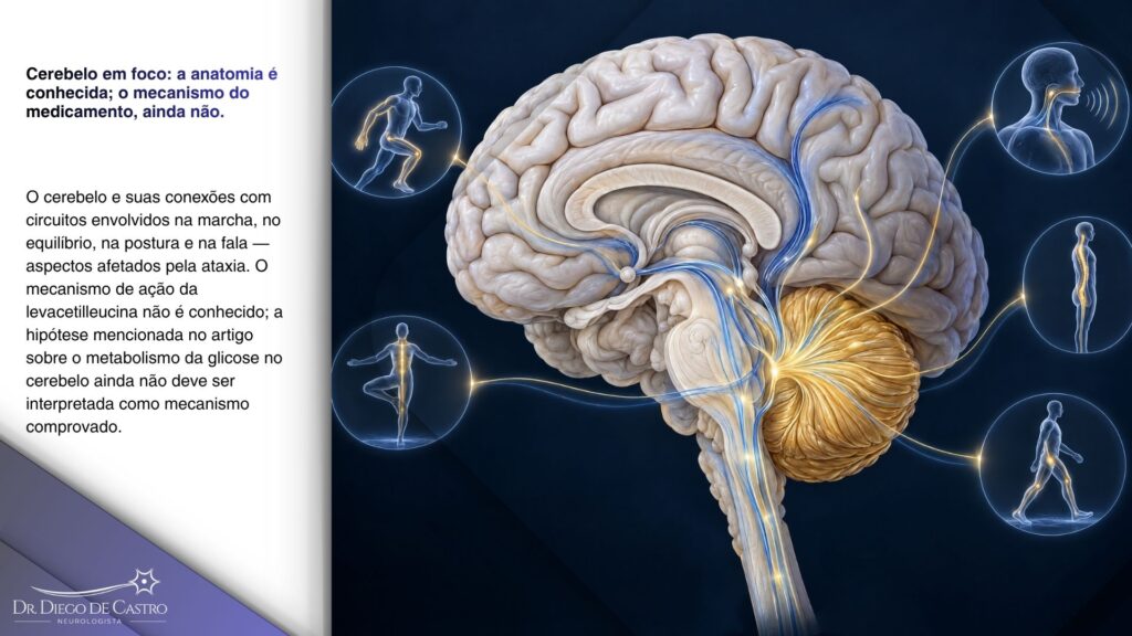 Dr. Diego de Castro — Cerebelo e coordenação na ataxia-telangiectasia Ilustração anatômica do cérebro com o cerebelo destacado em dourado e vias neurais associadas à marcha, ao equilíbrio, à postura e à fala.